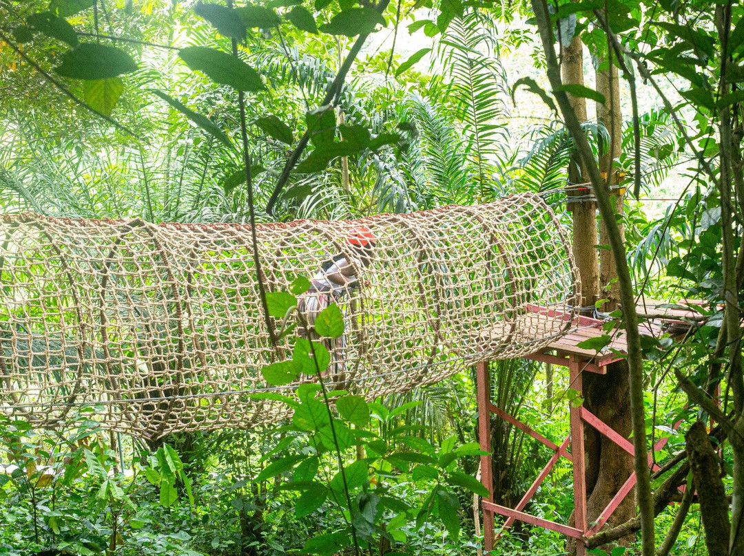 We-Ape Mega Zipline & Adventure Park-Aburi必去景点