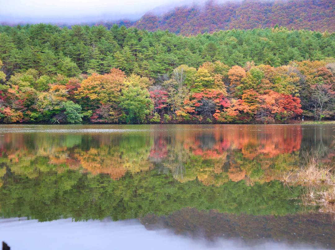 Kannonnuma Forest Park景点图片