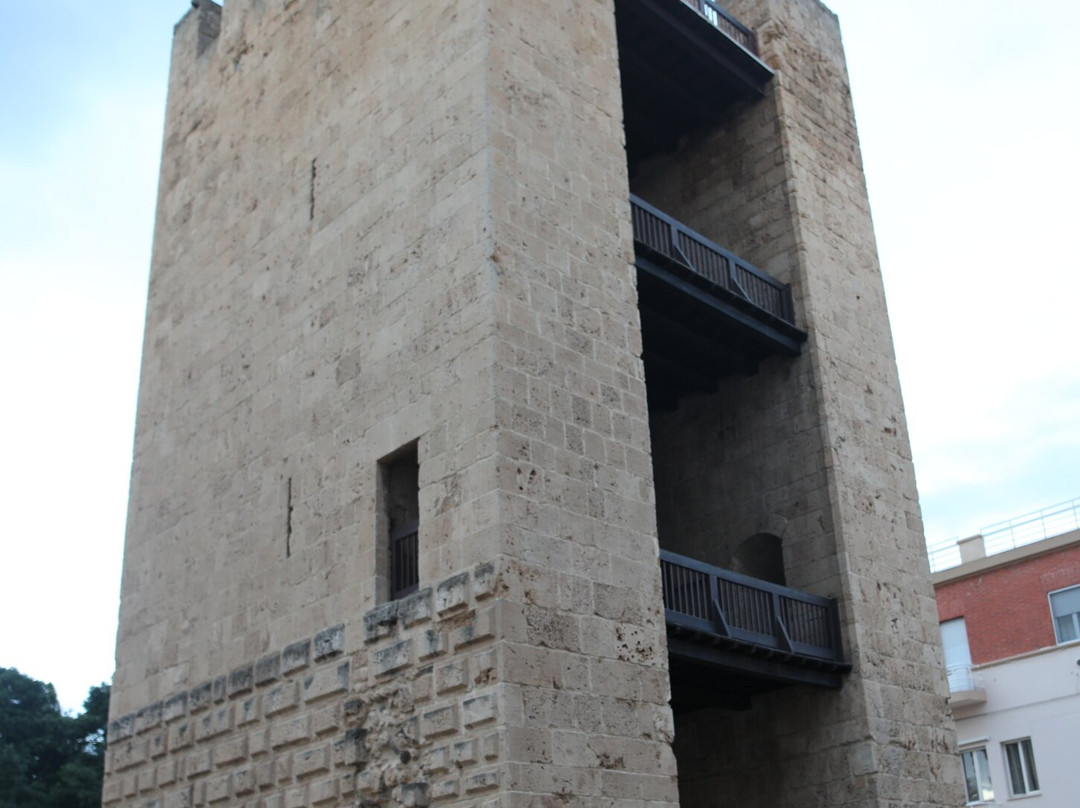 Torre di Mariano II-奥里斯塔诺省必去景点