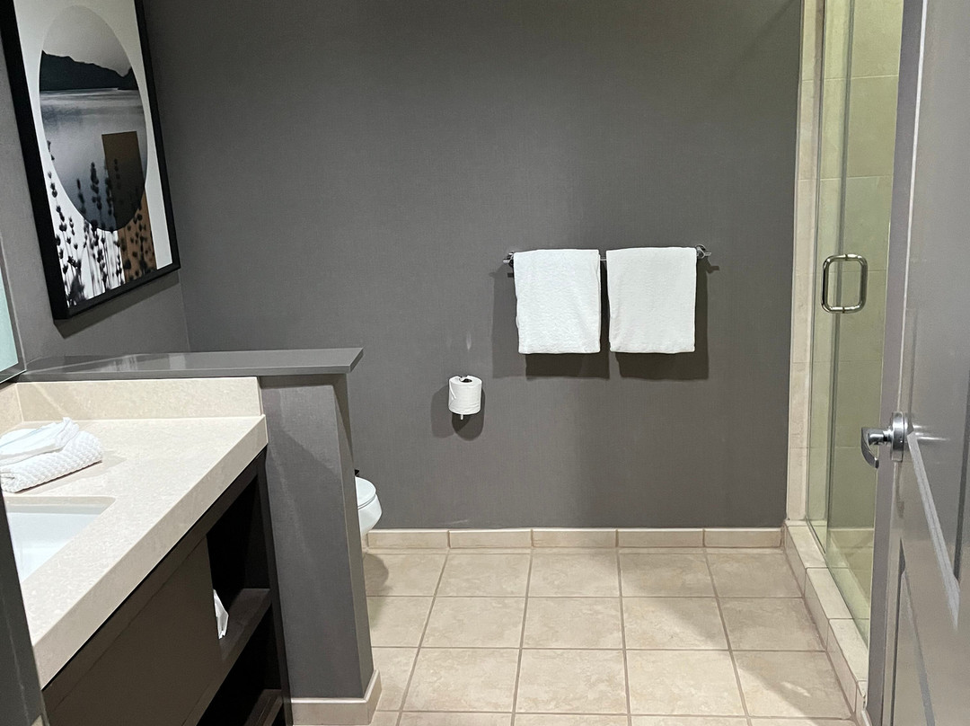 Hilton Promenade at Branson Landing主图