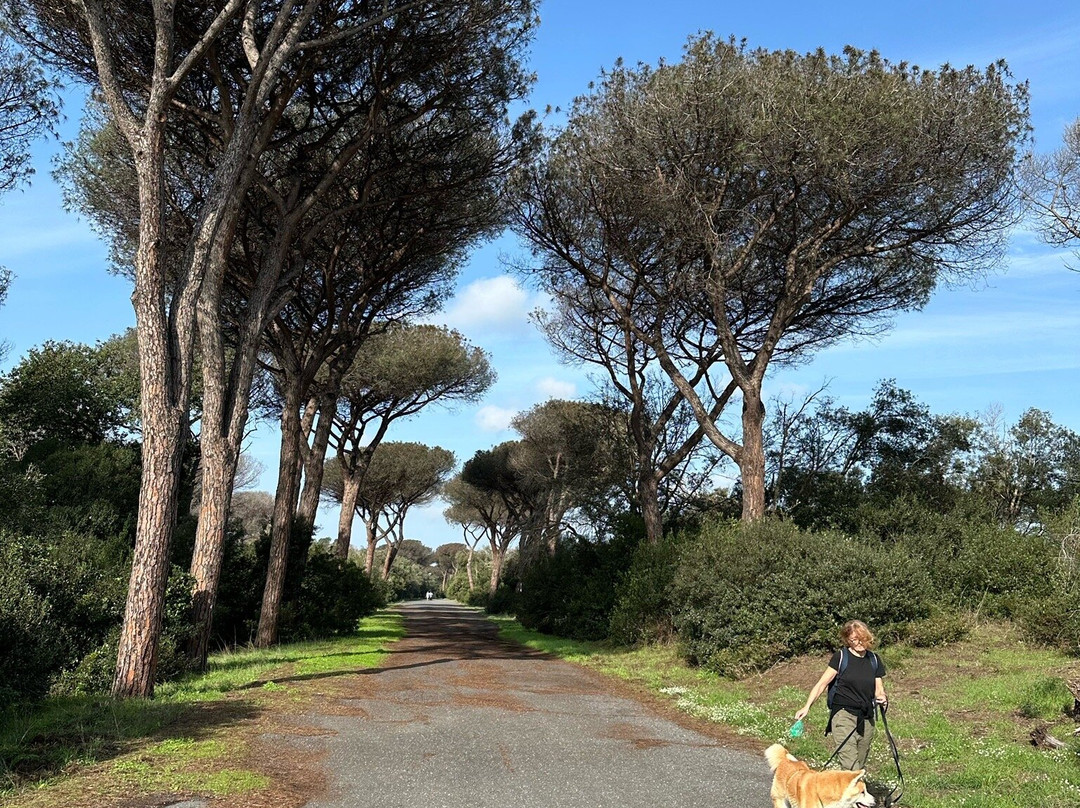 Parco Urbano Pineta di Castel Fusano-罗马必去景点
