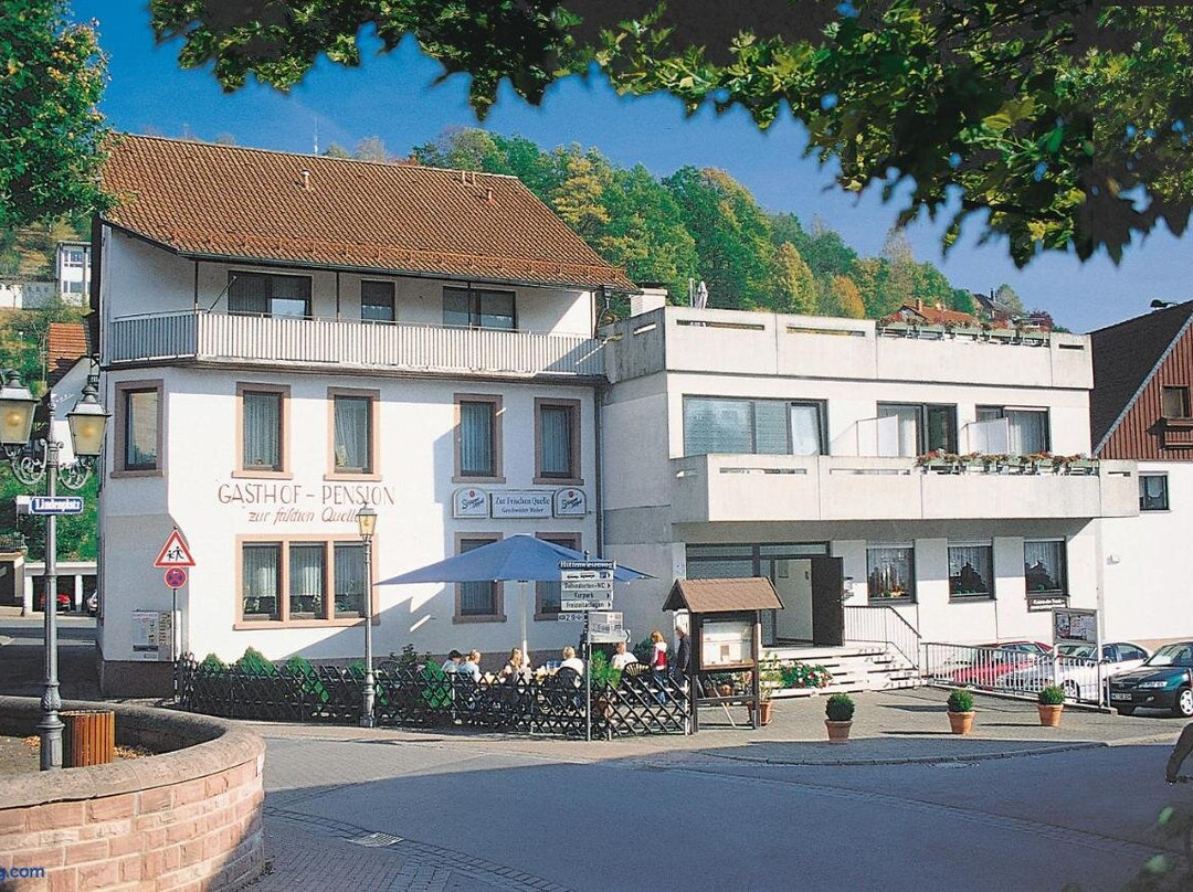 Wiesen旅游攻略图片