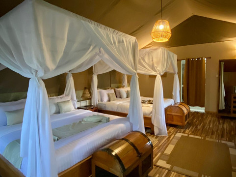 BUSH MOSAIC SAFARIS-内罗毕必去景点