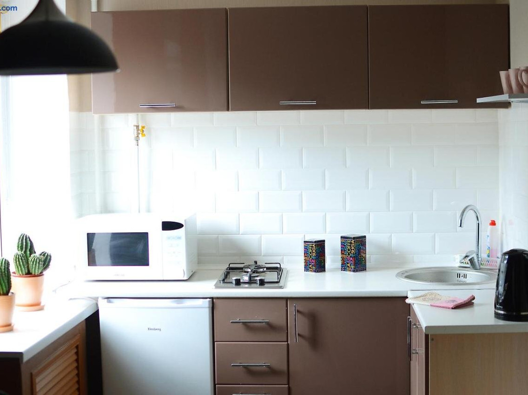 Apartment in the Center