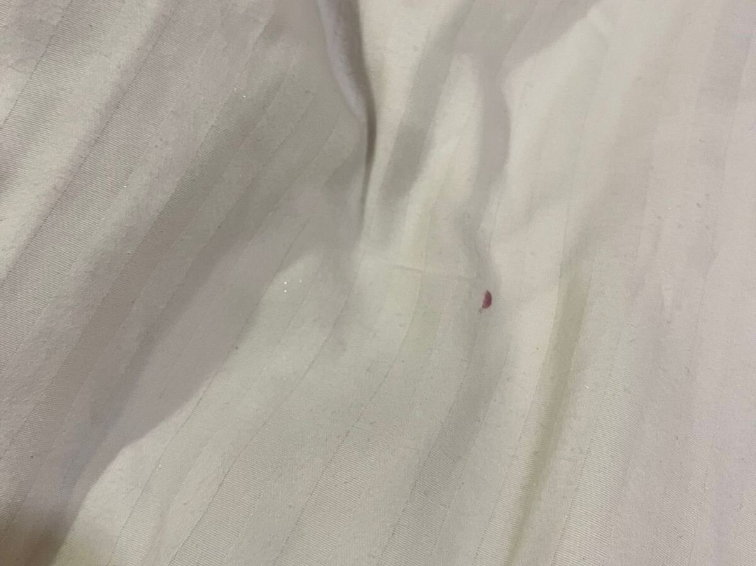 Hotel KRC Palace主图