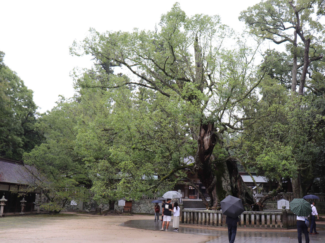Oyamazumi Shrine-今治市必去景点