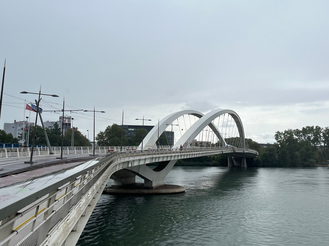 Pont Raymond Barre景点图片