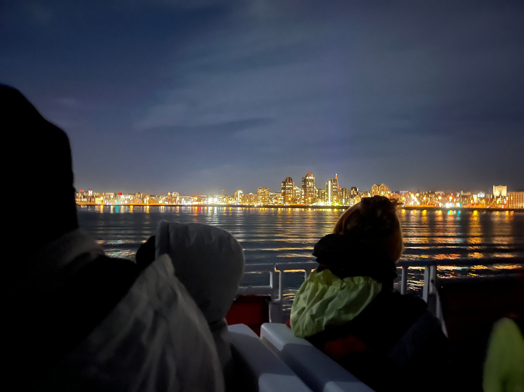 Elding Adventure At Sea - Reykjavik-雷克雅未克必去景点