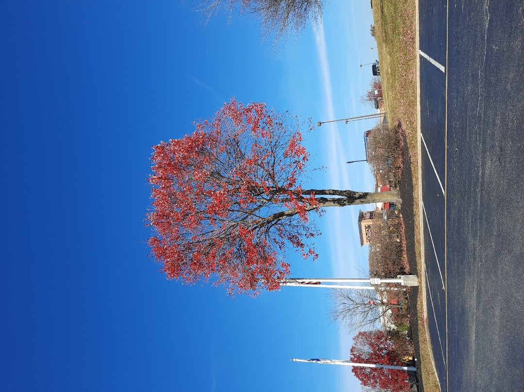 Holiday Inn Express Wilmington North - Brandywine By IHG主图