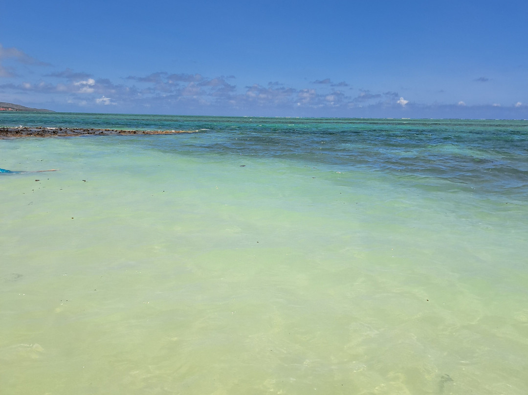 Cat Island (Ile aux chats)-罗德里格斯岛必去景点