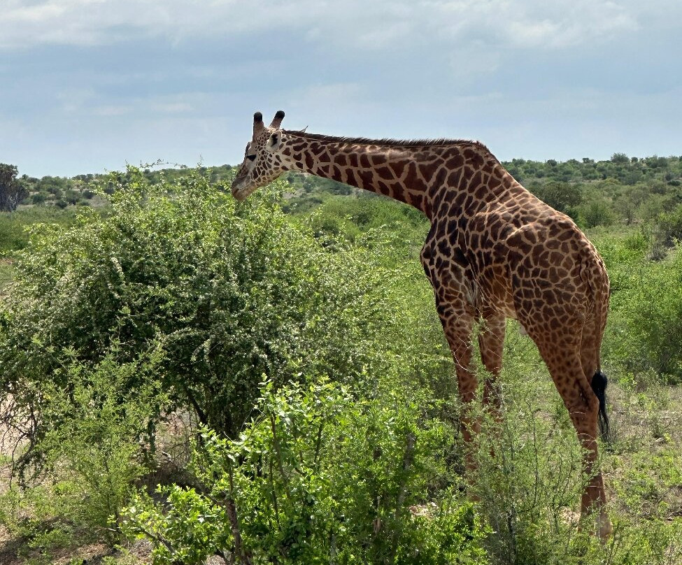 Thomas Tours & Safaris - Private Day Tours-瓦塔木必去景点