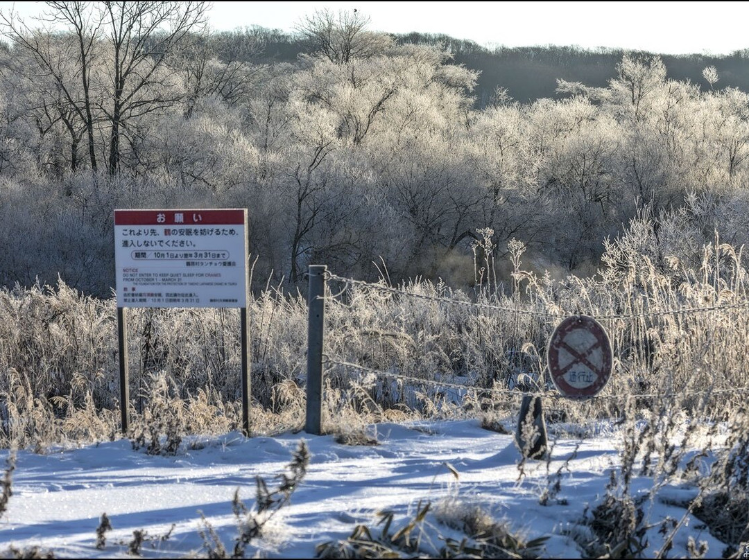 Otowa Bridge-鹤居村必去景点