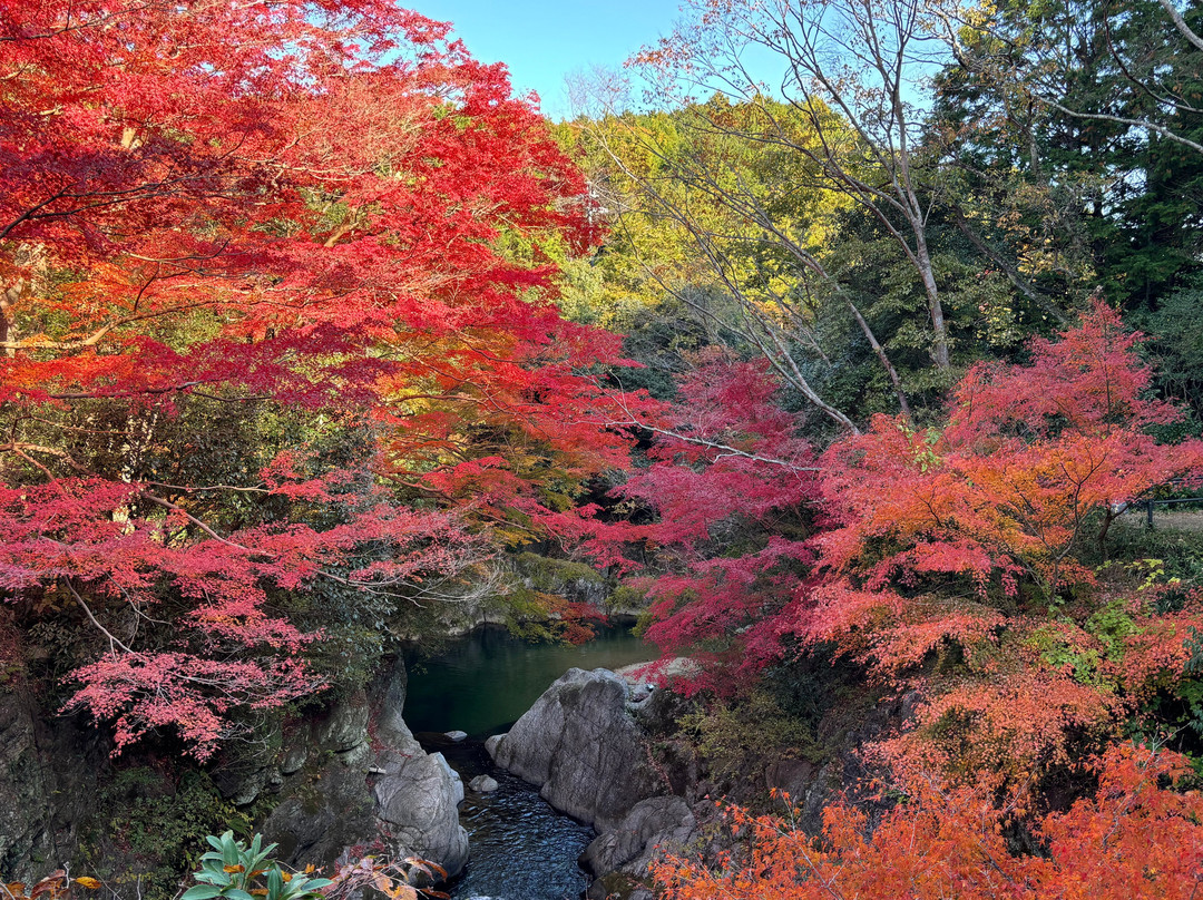 Kouchi Valley景点图片