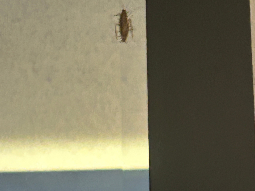 Best Western Sycamore Inn主图