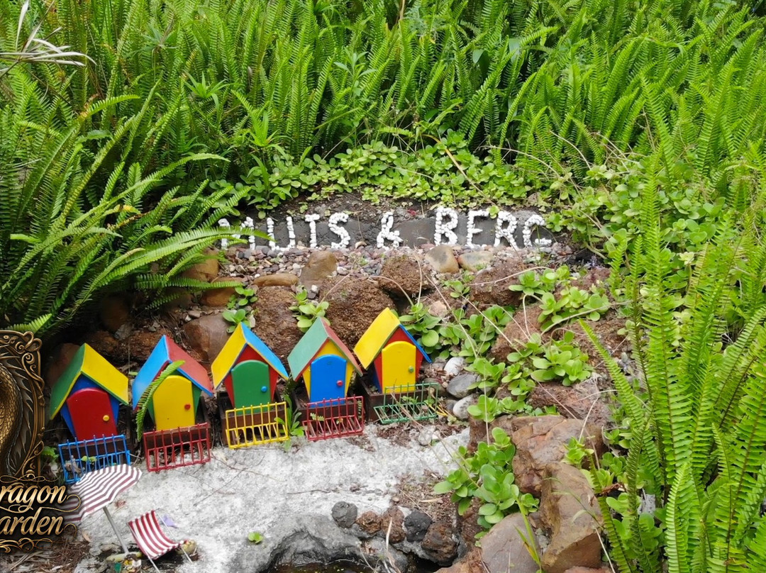 Hidden Dragon Magic Garden-斯韦伦丹必去景点