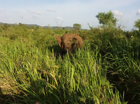 Kalum Tours - Sri Lanka-科奇克德必去景点