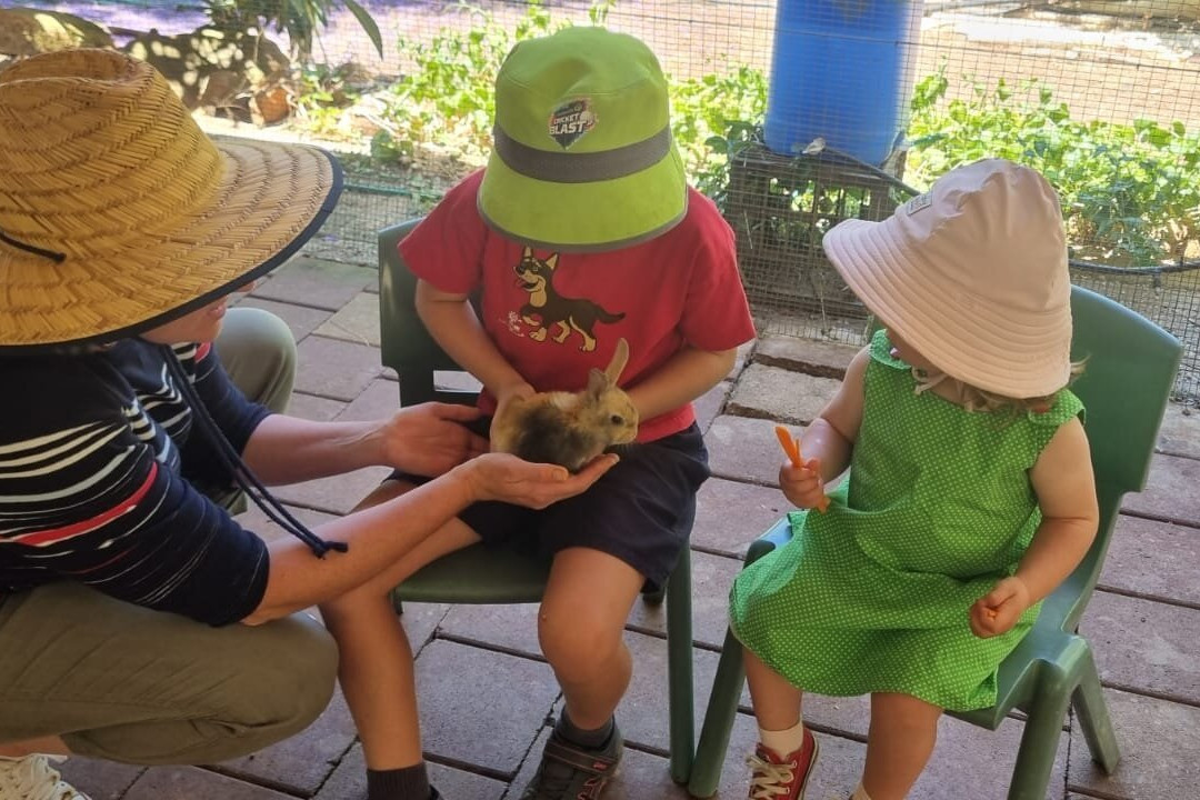 Countrylife Farm-戴士柏必去景点