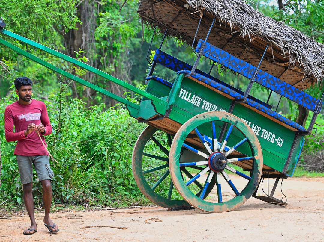Tinol Tours Sri Lanka景点图片