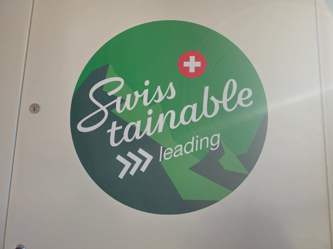 Vitznau-Rigi Kulm cogwheel railway-菲茨瑙必去景点