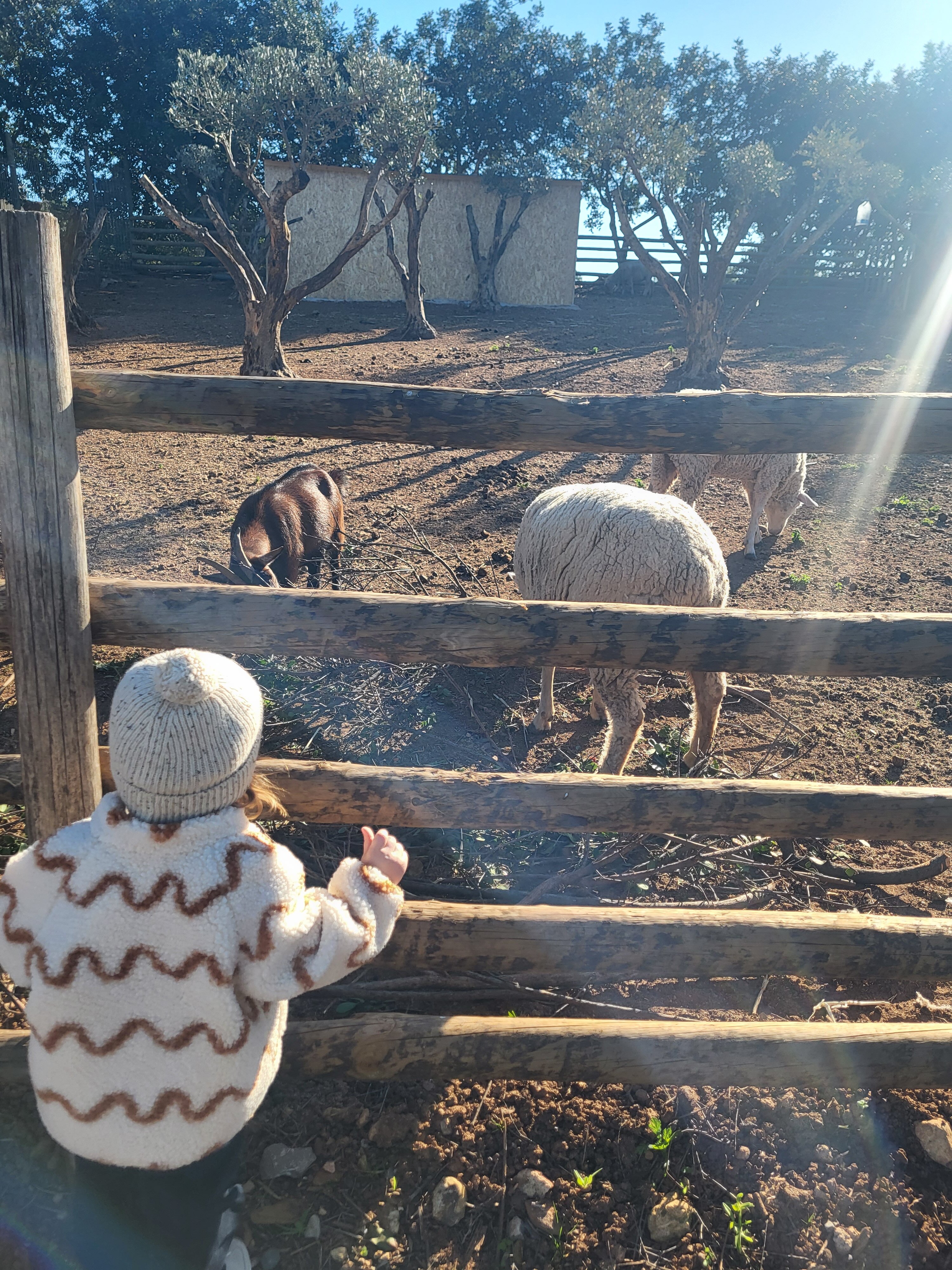 Hotel Rural Quinta do Marco-官方