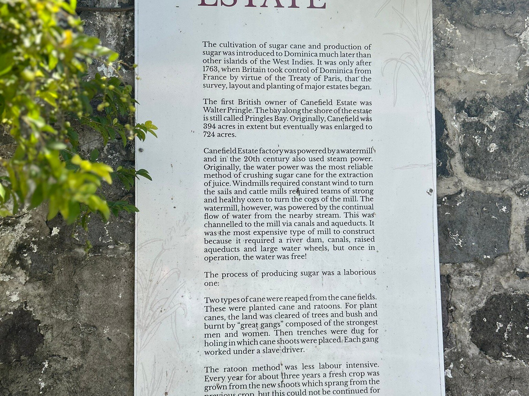 Open Top Double Decker Tours-菲利普斯堡必去景点