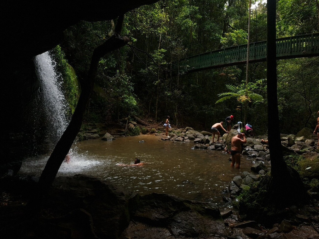 Buderim Forest Park-Buderim必去景点
