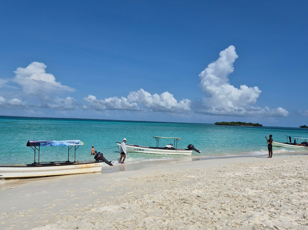 Ameir Tours and Travel-桑给巴尔市必去景点