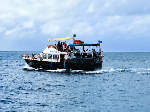 Budget Boat Trips Curacao-库拉索必去景点