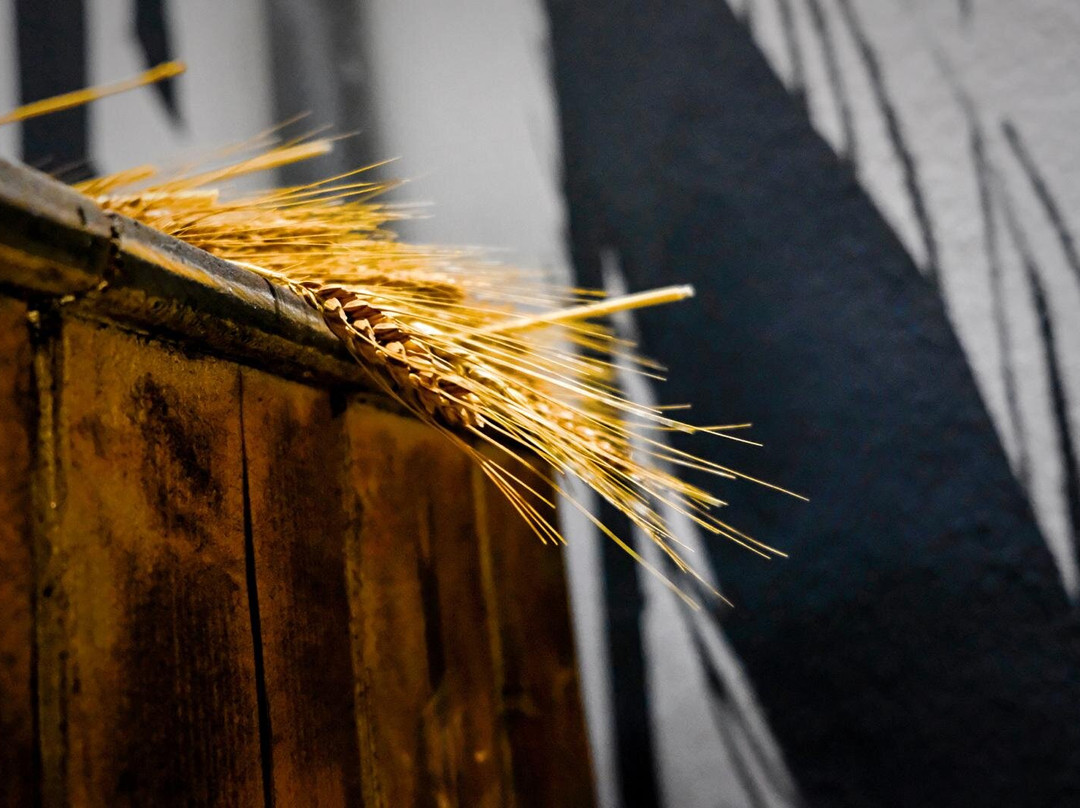 Museo Molino Garau - Agrobass - Sardinian Farm-Guspini必去景点