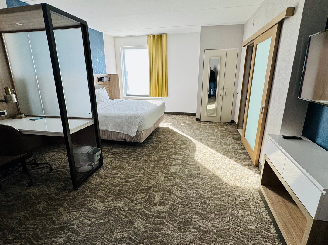 SpringHill Suites by Marriott Gainesville Haymarket主图