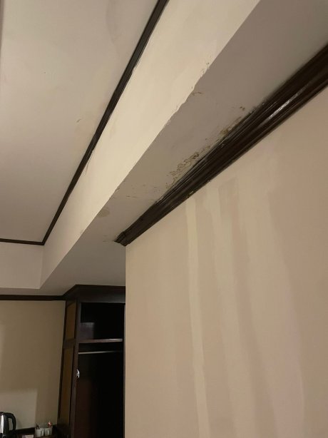 塞卡精品度假酒店-客卧