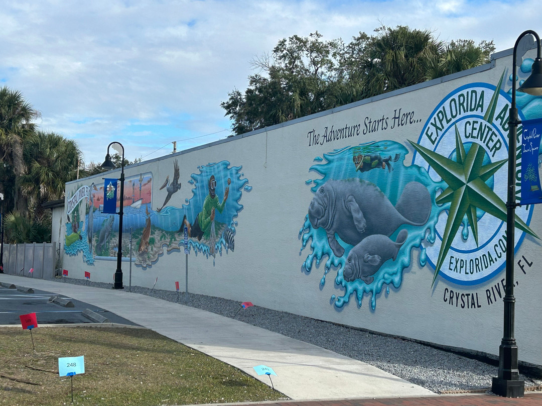 Crystal River-克里斯特尔里弗必去景点