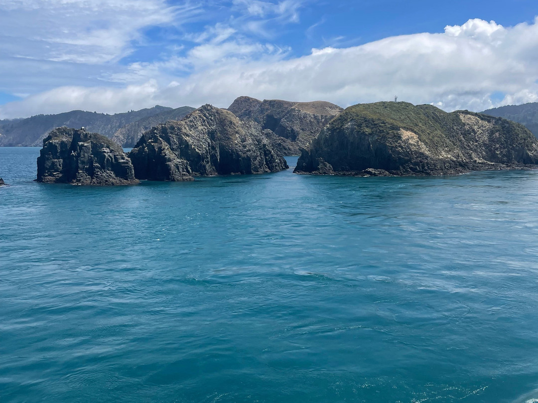 Interislander景点图片