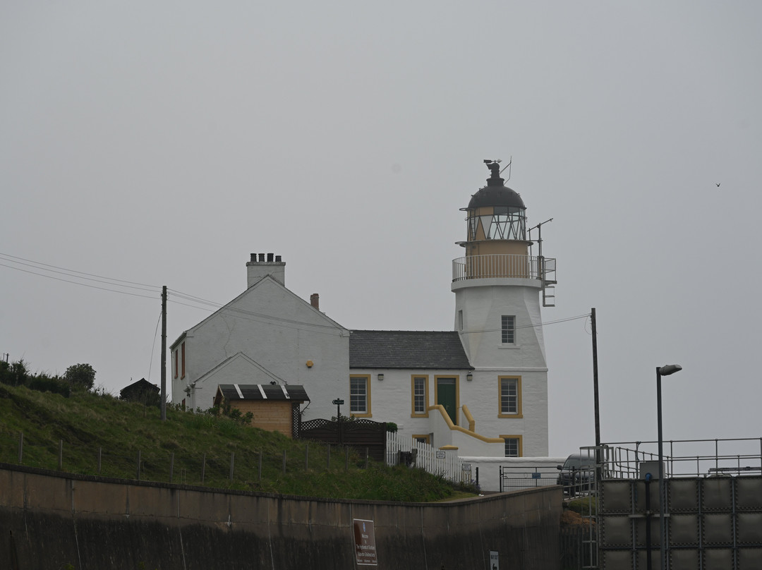 Holburn Head Lighthouse景点图片