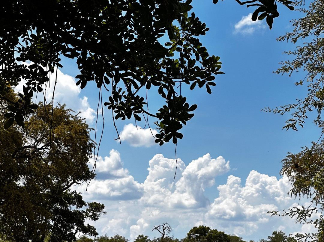 Senalala Safari Lodge主图