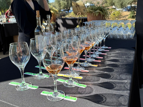 The UnWined Experience-特曼库拉必去景点