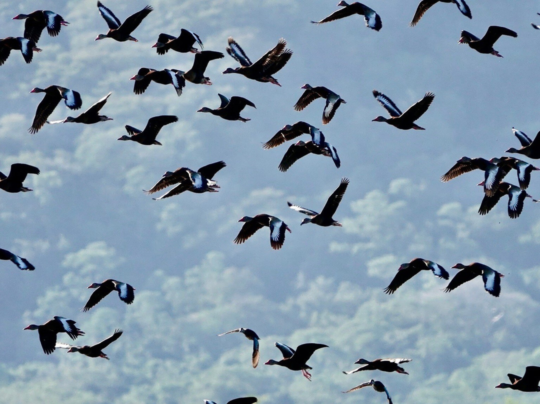 Rancho Humo Estancia主图