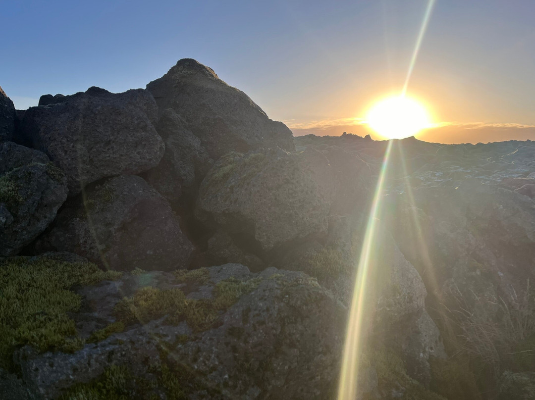 Eldhraun Lava Field景点图片