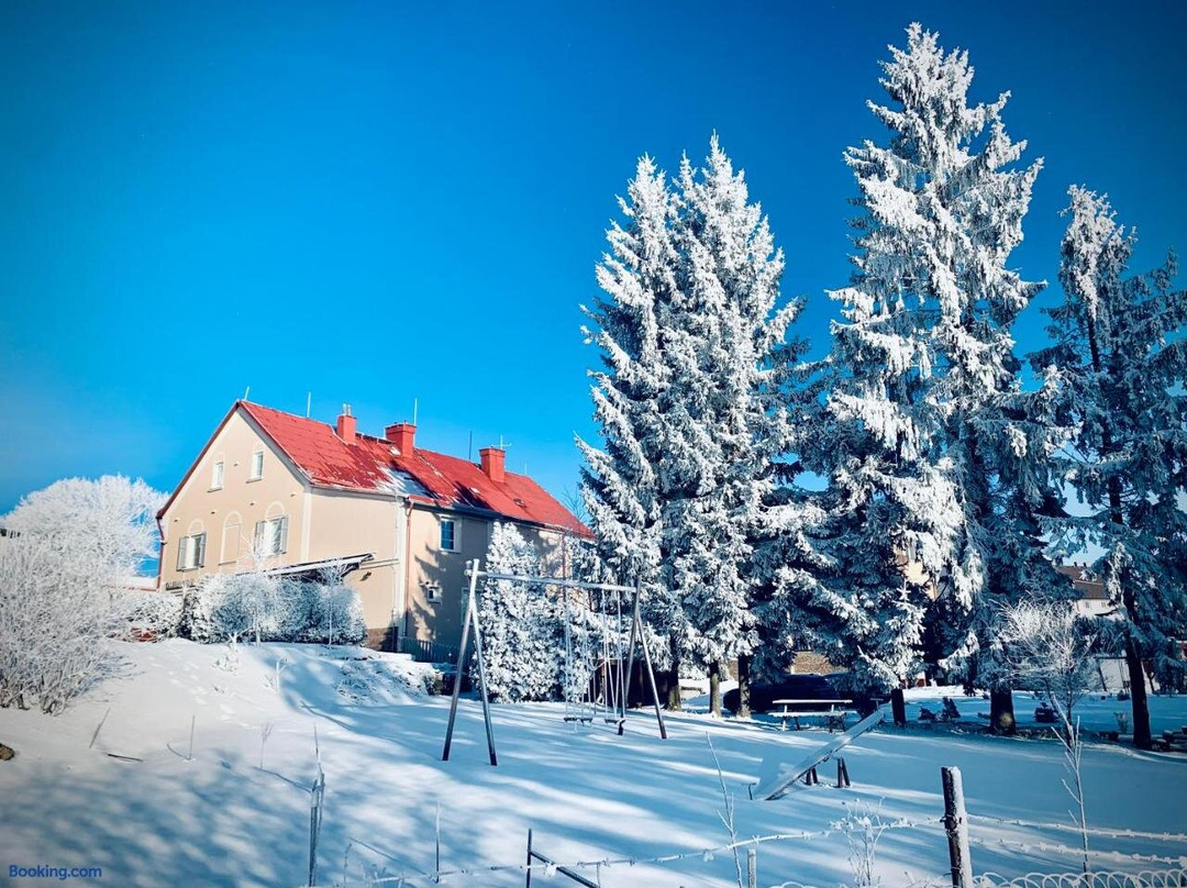 Lubawka酒店住宿-Penzion Diana