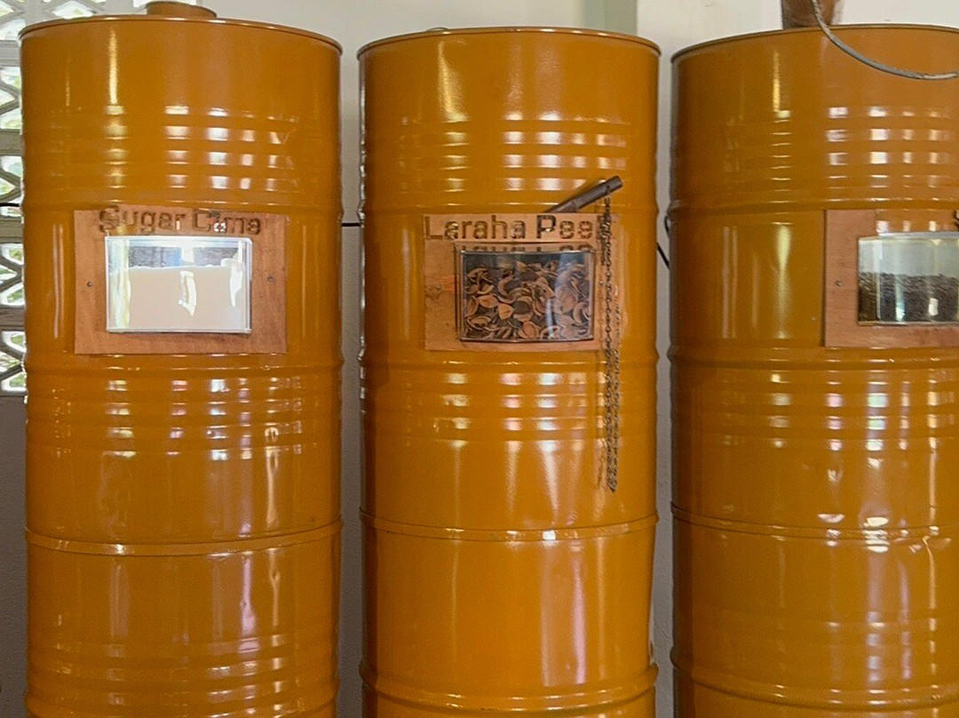 Aida Travel Services-威廉斯塔德必去景点