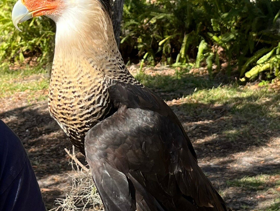Moccasin Lake Nature Park-克利尔沃特必去景点