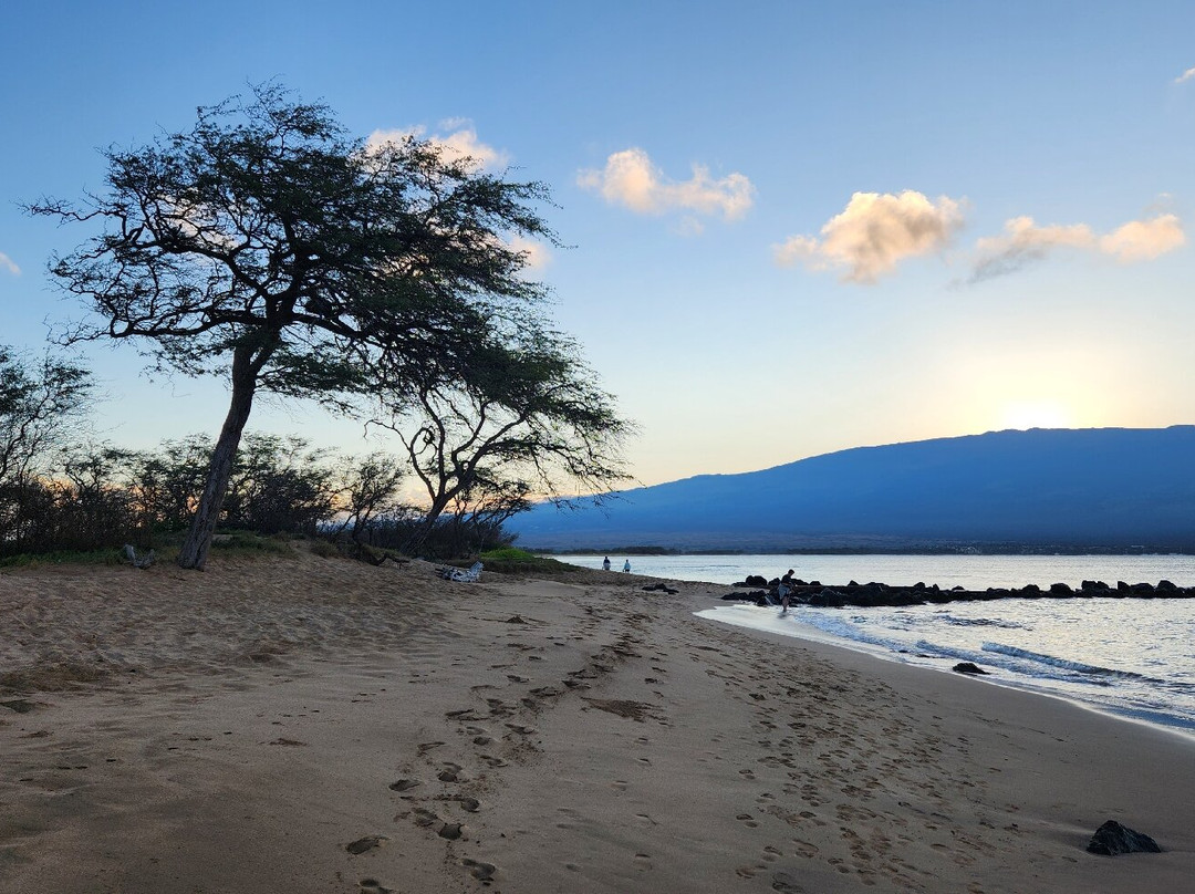Haycraft Park-玛阿拉也亚必去景点