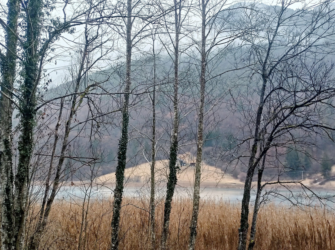 Lago d'Ampola景点图片