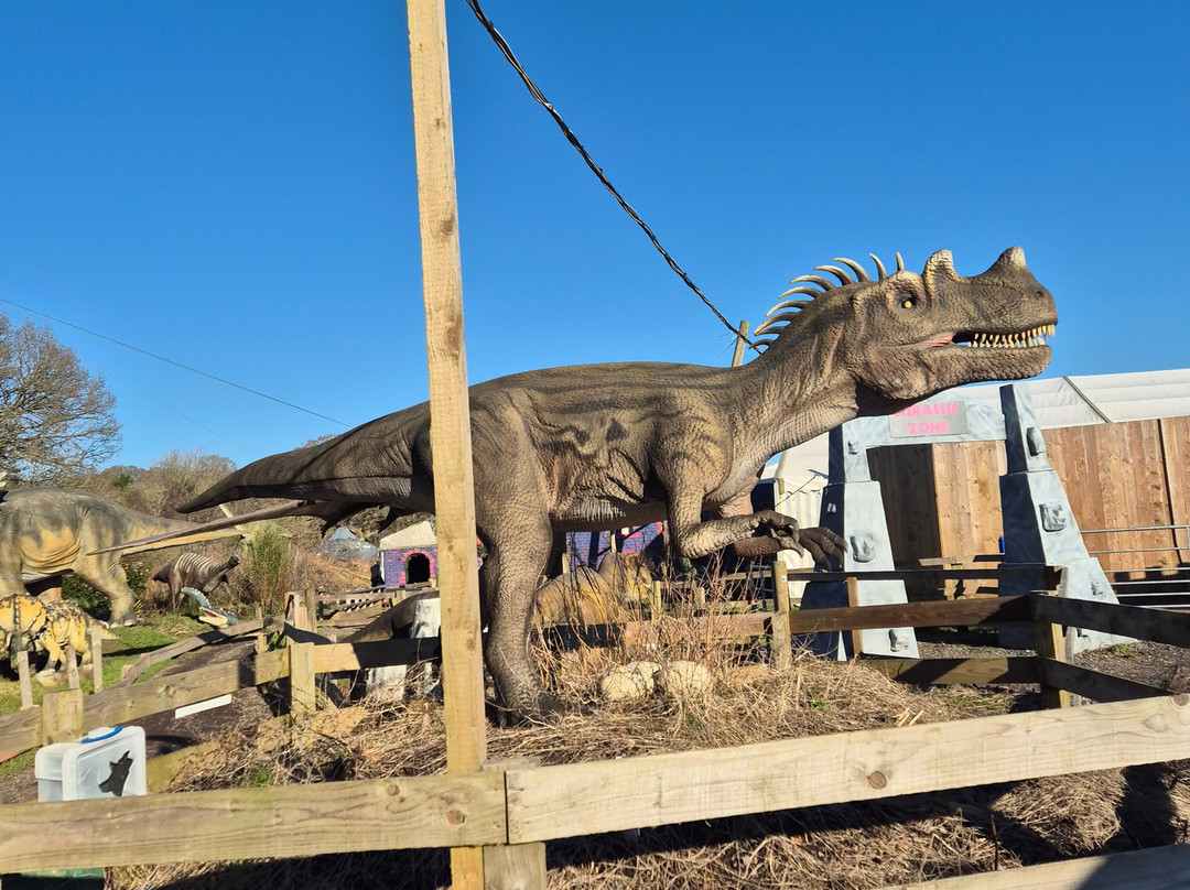4 Kingdoms Adventure Park-纽伯里必去景点