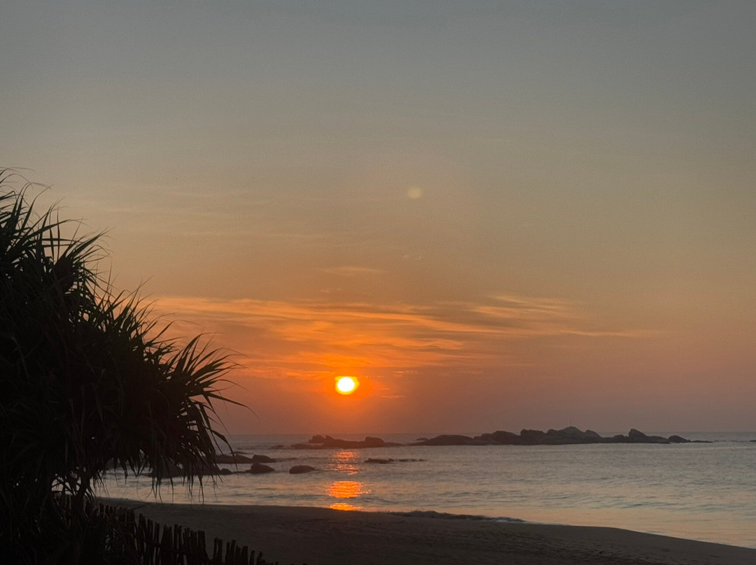 Six Elements Resort & Spa