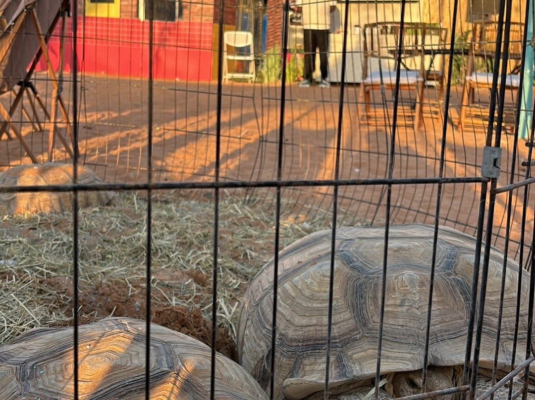 Liwa Beach-哈伊马角必去景点