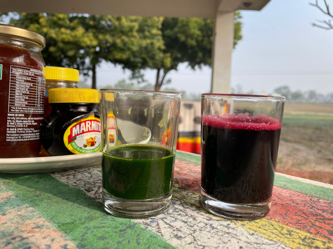 萨维斯塔度假村主图