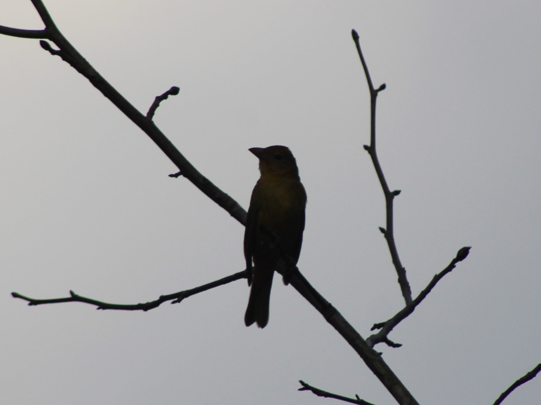 Aldridge Gardens-Hoover必去景点