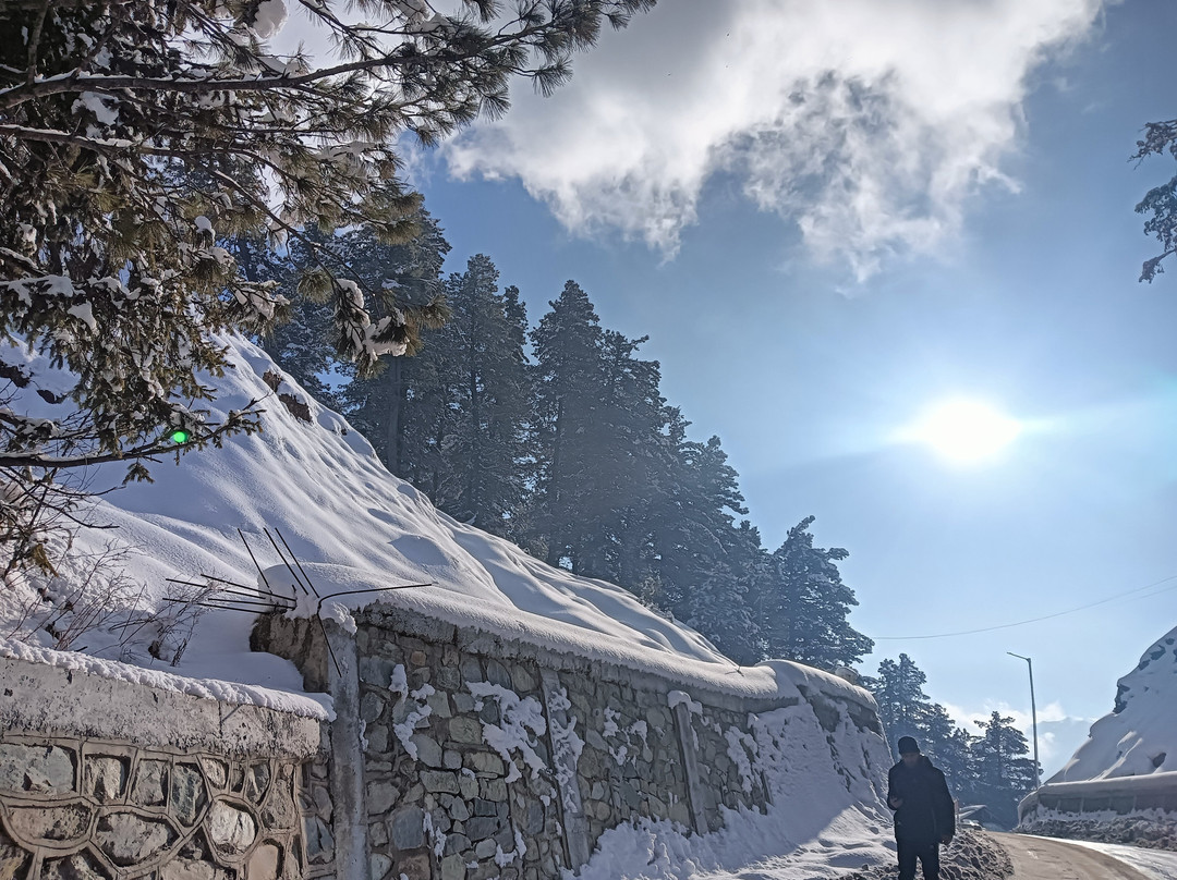 Grand Mumtaz Resorts Gulmarg主图