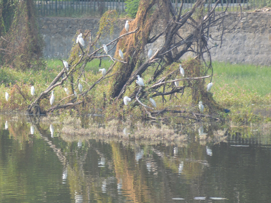 Vellode Bird Sanctuary景点图片